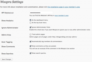 Настройка Woopra на WordPress-блоге.